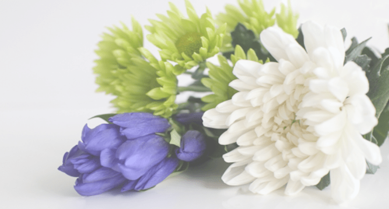 クイーンサイズ フォーマルレンタル Net クイーンサイズ フォーマルレンタル Net