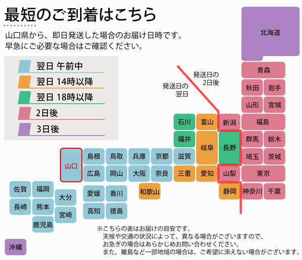 通夜や葬儀に E体 大きい体型用 ウエスト100cm以上の喪服 フォーマル